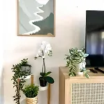 Ideal Relax - Jardin - Free Parking - Wifi Σπίτι διακοπών Βίγκο