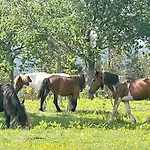 Ideal Relax - Jardin - Free Parking - Wifi Σπίτι διακοπών Βίγκο