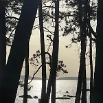Σπίτι διακοπών Ideal Relax - Jardin - Free Parking - Wifi *
