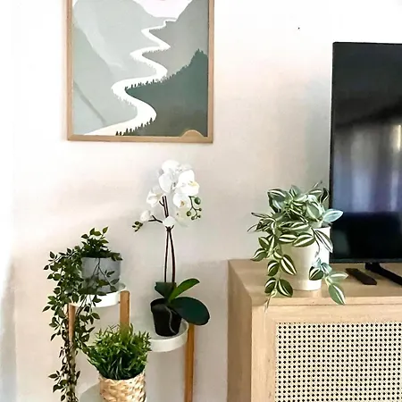 Duplex Pet-friendly Con Jardin Relax 別荘 ヴィーゴ