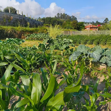 Σπίτι διακοπών Espectaculares Luces De Y Mucho Mas Βίγκο