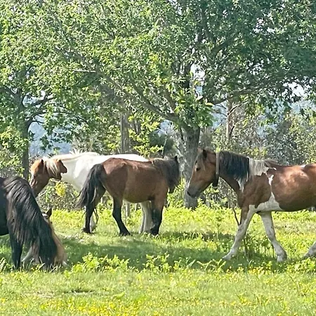 Espectaculares Luces De Y Mucho Mas Σπίτι διακοπών Βίγκο